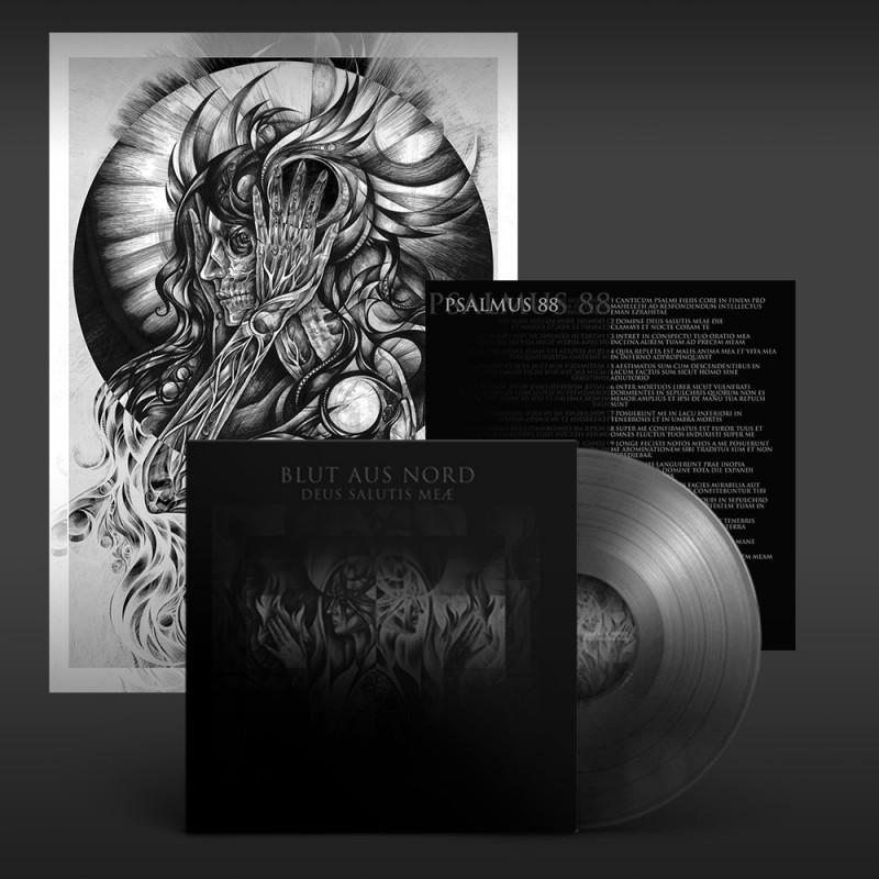 12 lp