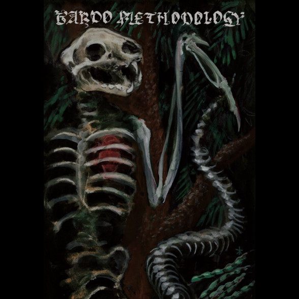 Bardo Methodology - IV