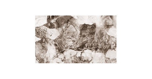 LATITUDES streams "Old Sunlight" in its entirety