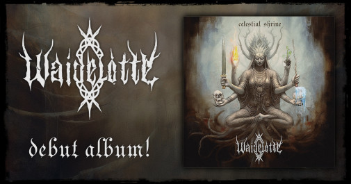 WAIDELOTTE unveil album details